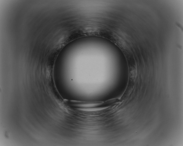 X0000097650662200803071510