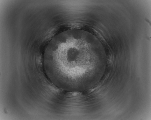 X0000097650663200803071510