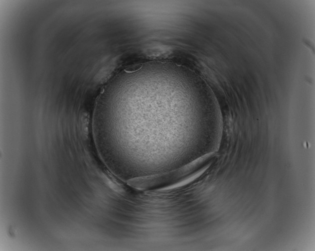 X0000097650664200803071510