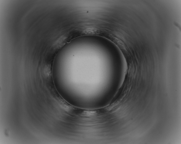 X0000097650665200803071510