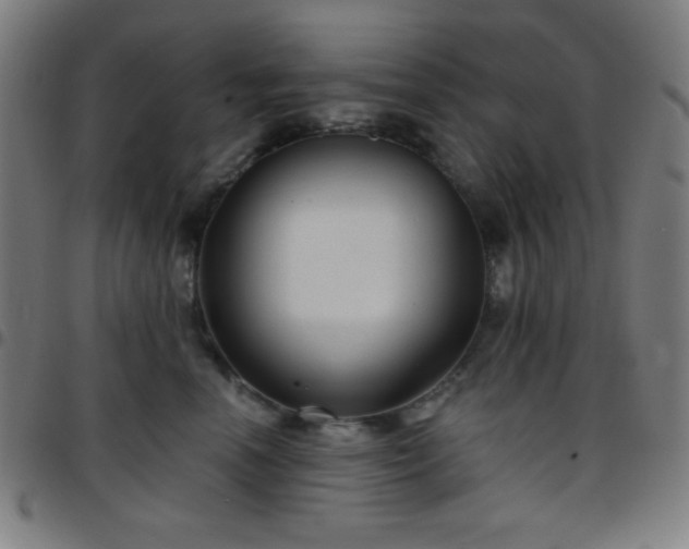 X0000097650666200803071510