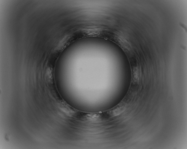 X0000097650667200803071510