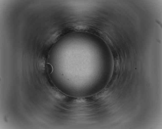 X0000097650668200803071510