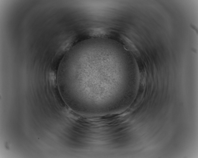 X0000097650669200803071510