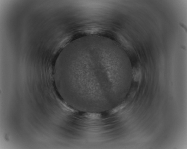 X0000097650670200803071510