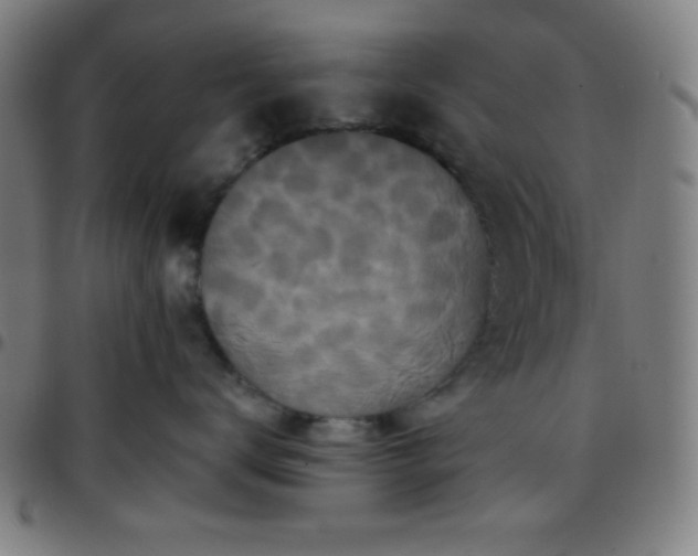 X0000097650672200803071510