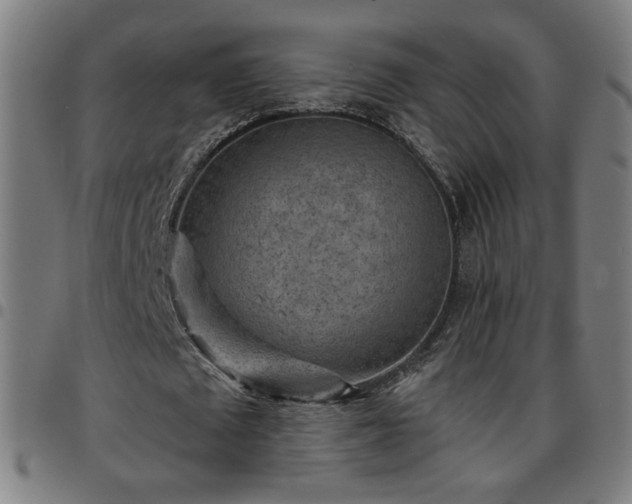 X0000097650673200803071510