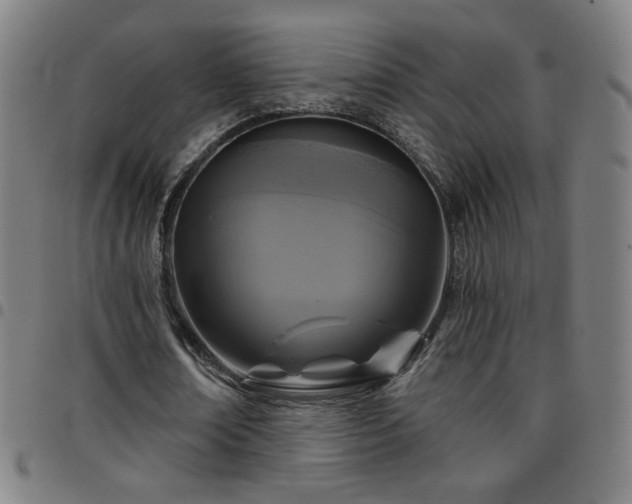 X0000097650674200803071510