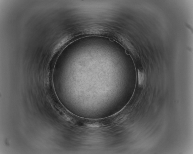 X0000097650675200803071510