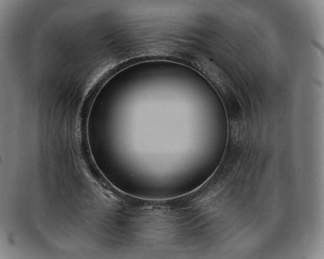 X0000097650676200803071510