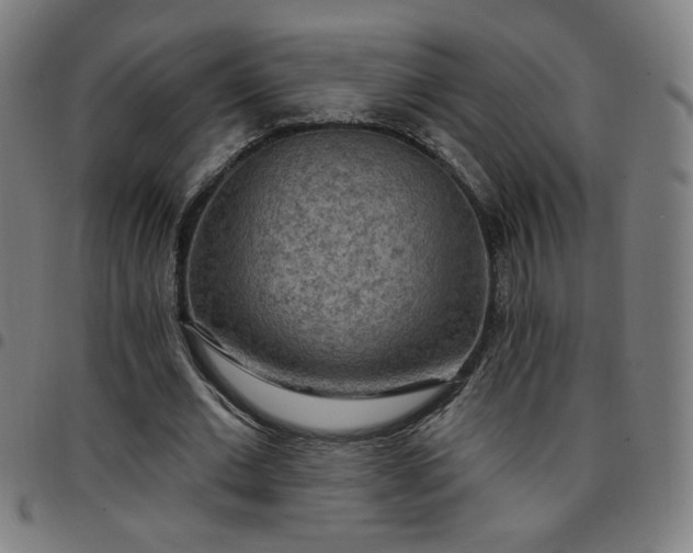 X0000097650677200803071510