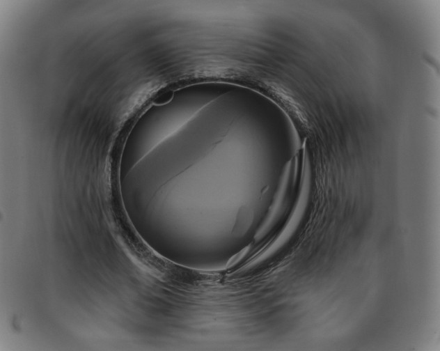 X0000097650678200803071510