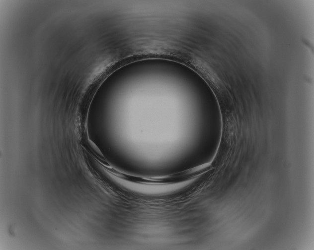 X0000097650680200803071510