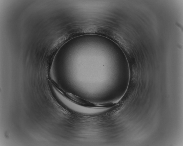 X0000097650681200803071510