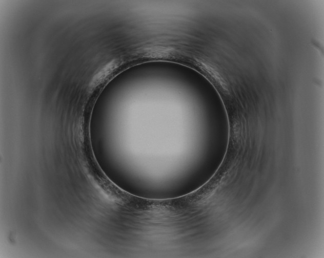 X0000097650682200803071510