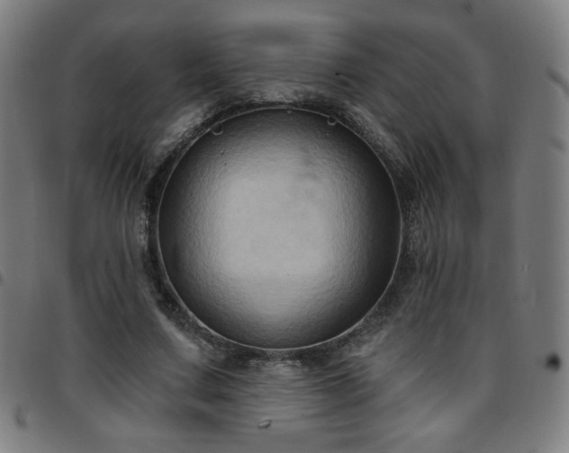 X0000097650683200803071509