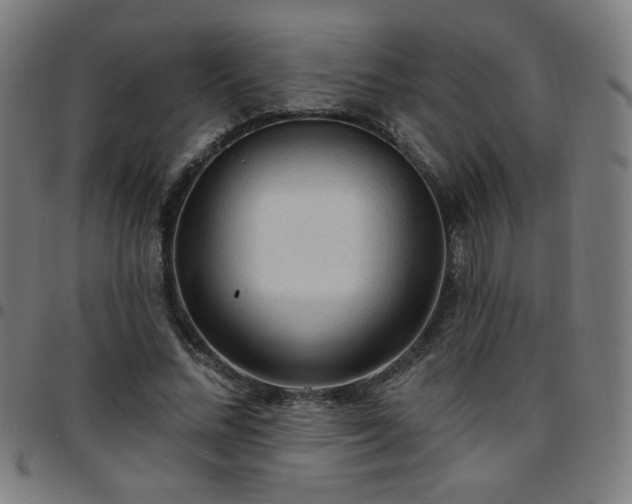 X0000097650684200803071509