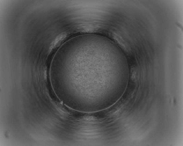 X0000097650685200803071509