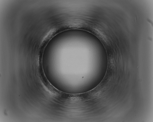 X0000097650686200803071509