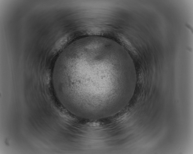 X0000097650687200803071509