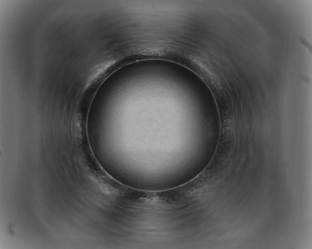 X0000097650688200803071509