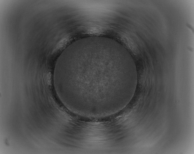 X0000097650689200803071509