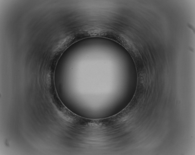 X0000097650690200803071509