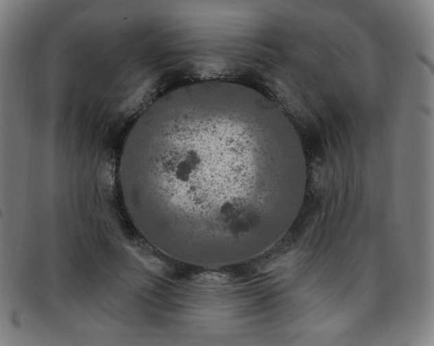 X0000097650691200803071509