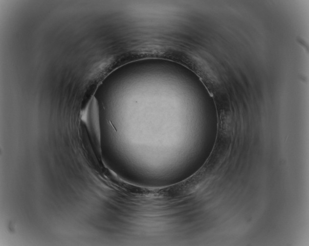 X0000097650692200803071509