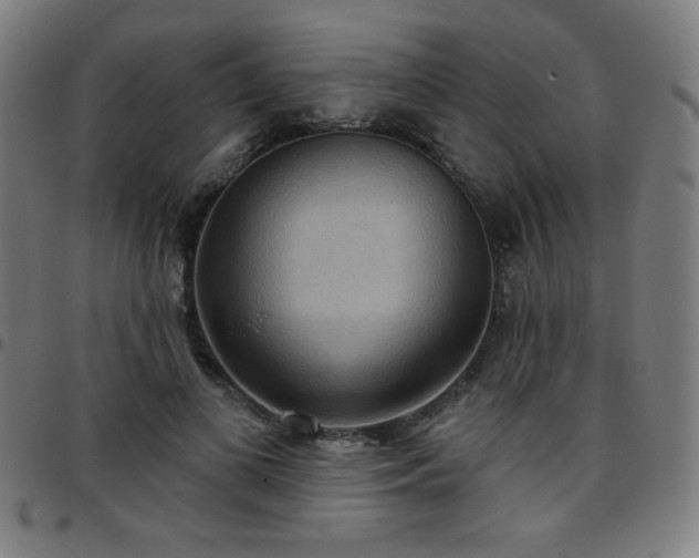 X0000097650693200803071509