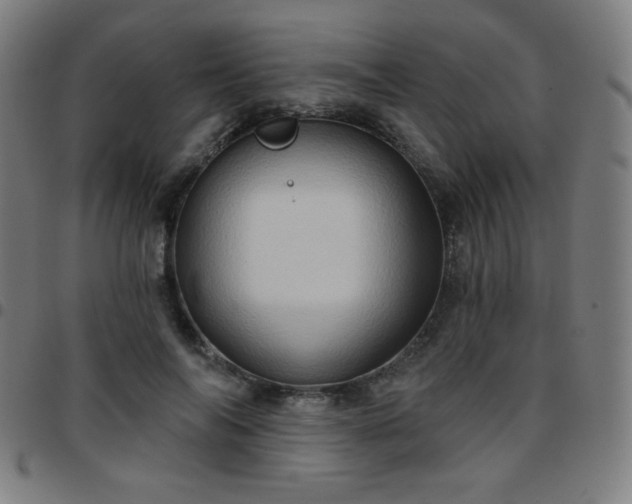 X0000097650694200803071509