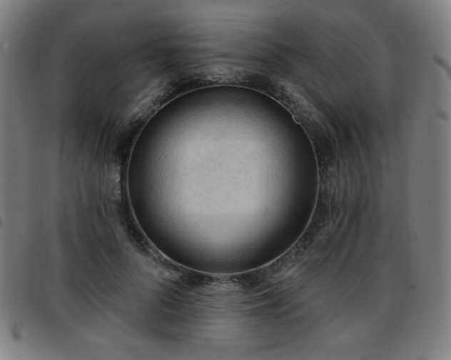 X0000097650696200803071509