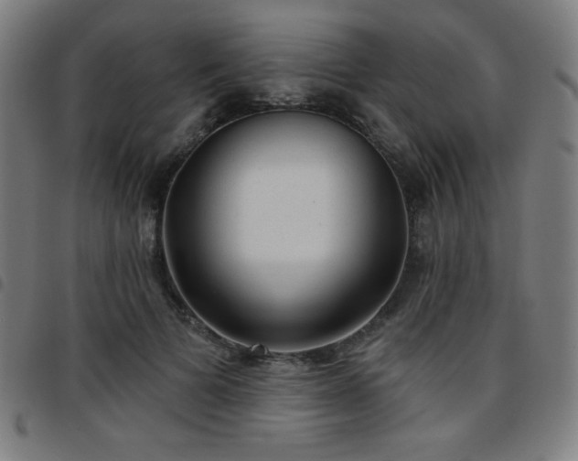 X0000097650697200803071509