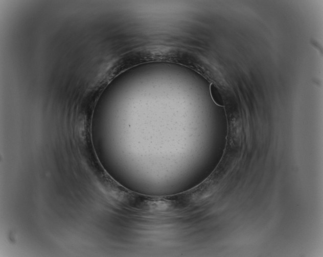 X0000097650698200803071509