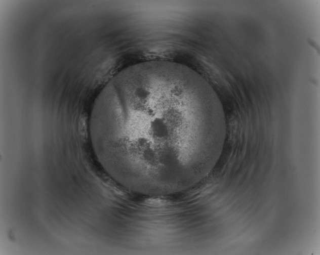 X0000097650699200803071509