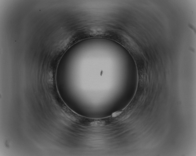 X0000097650700200803071509