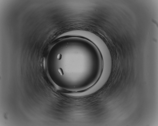 X0000097650701200803071509