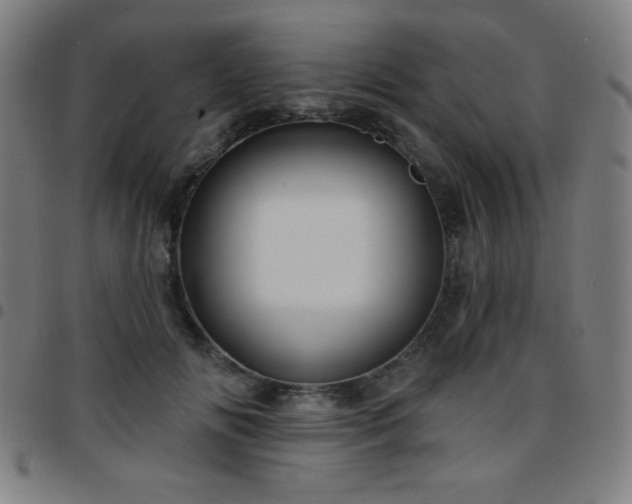 X0000097650702200803071509