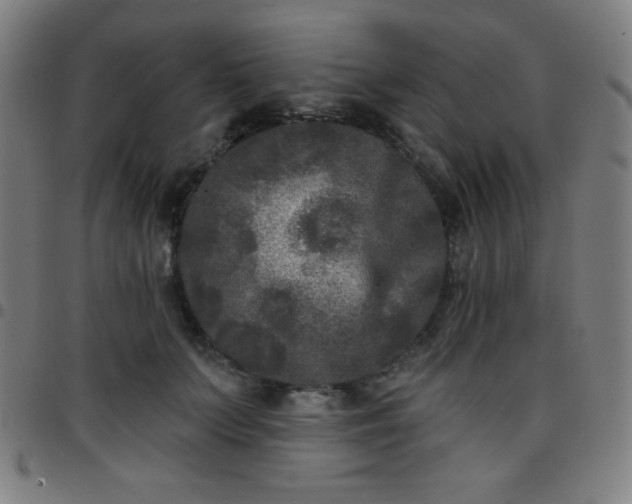 X0000097650703200803071509