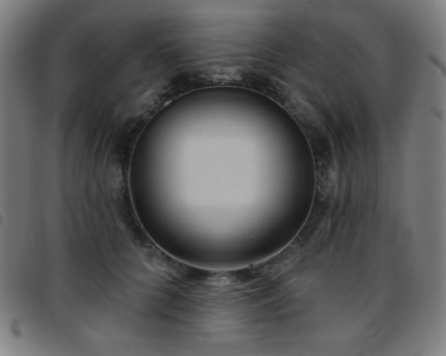 X0000097650704200803071509