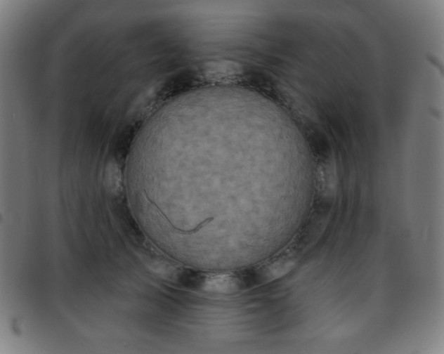 X0000097650705200803071509