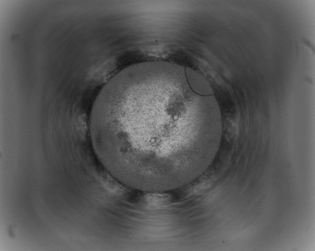 X0000097650707200803071509