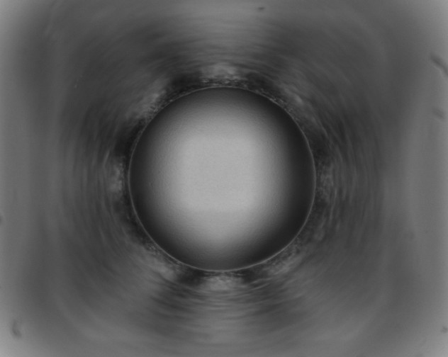 X0000097650708200803071509