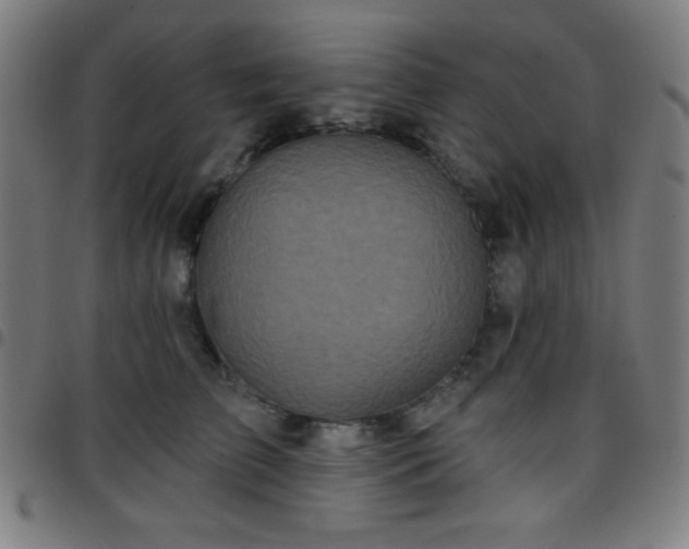 X0000097650709200803071509