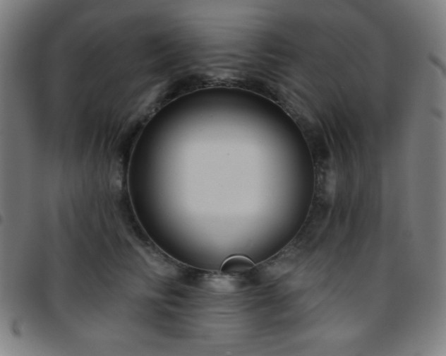 X0000097650710200803071509