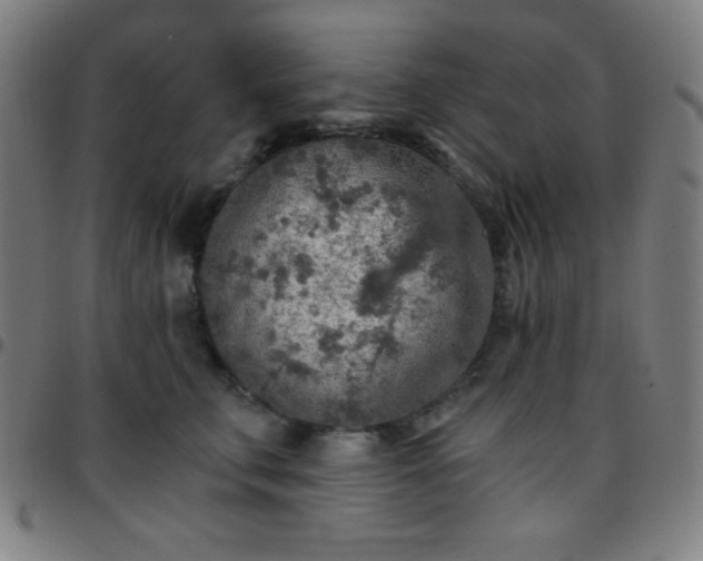 X0000097650711200803071509