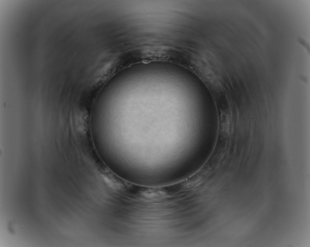 X0000097650712200803071509