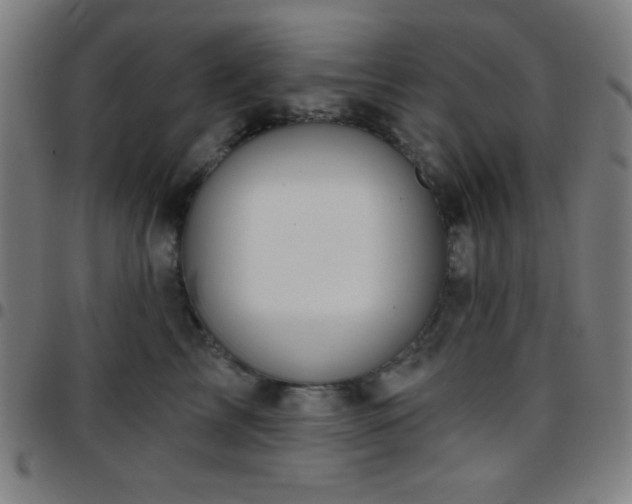 X0000097650713200803071509