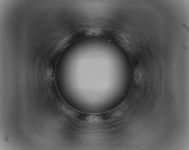 X0000097650714200803071509