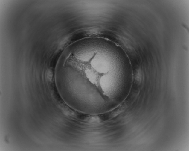 X0000097650715200803071509